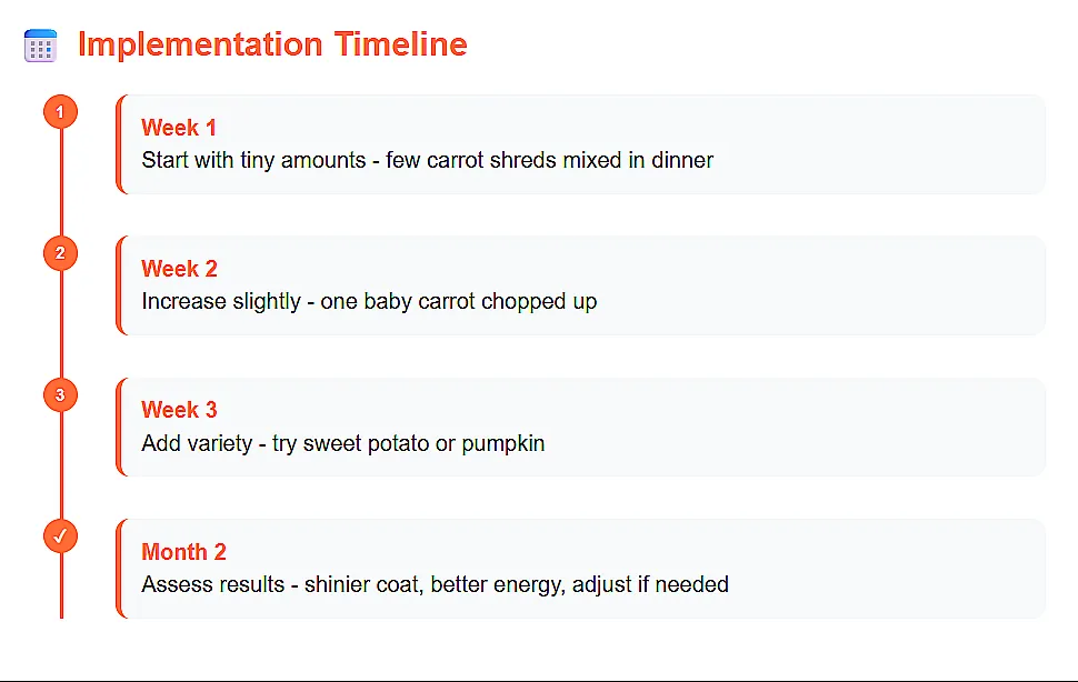 It's Never Too Late to Start: Beta-Carotene Can Reverse Age Signs in Dogs implementation timeline