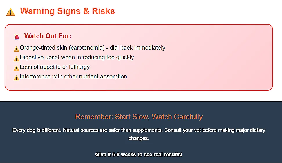 It's Never Too Late to Start: Beta-Carotene Can Reverse Age Signs in Dogs It's Never Too Late to Start: Beta-Carotene Can Reverse Age Signs in Dogs