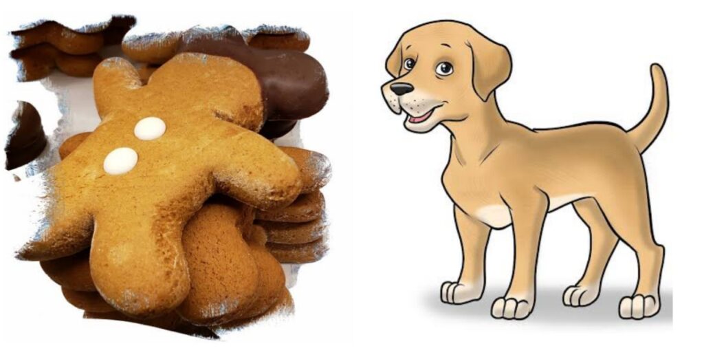 Can dogs eat ginger snaps