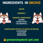Ingredients in orchids