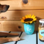 The Best Spread for Your Pup: Sunflower Butter or Peanut Butter? A 2023 Analysis