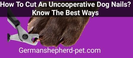 How To Cut An Uncooperative Dogs Nails