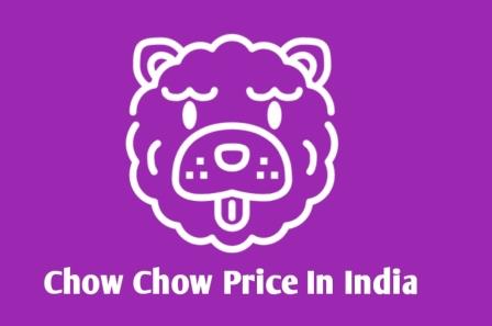 Chow Chow Dog Price In India