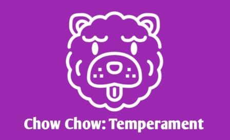 Chow Chow Dog Temperament