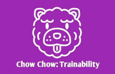 Chow Chow Dog Training
