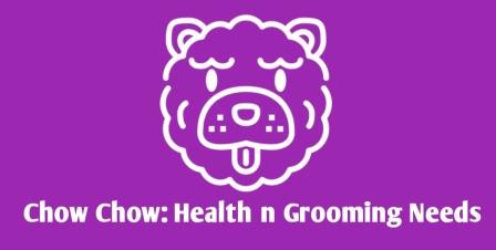 Chow Chow dog grooming