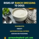 Ranch dressing and dogs. side effects on dogs