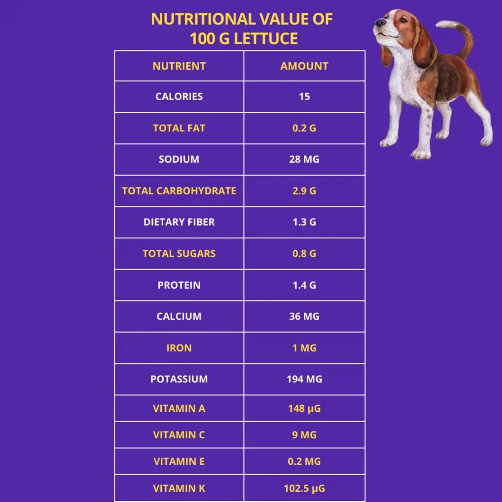 nutritional value of 100 grams lettuce