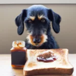 Can dogs eat marmite on toast