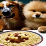 Dogs eating oat porridge