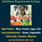 Nutritional requirement for dogs