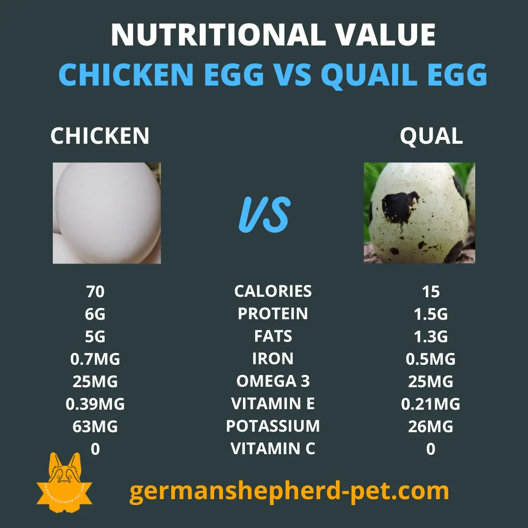 nutritional-value-of-a-chicken-egg-and-a-quail-egg