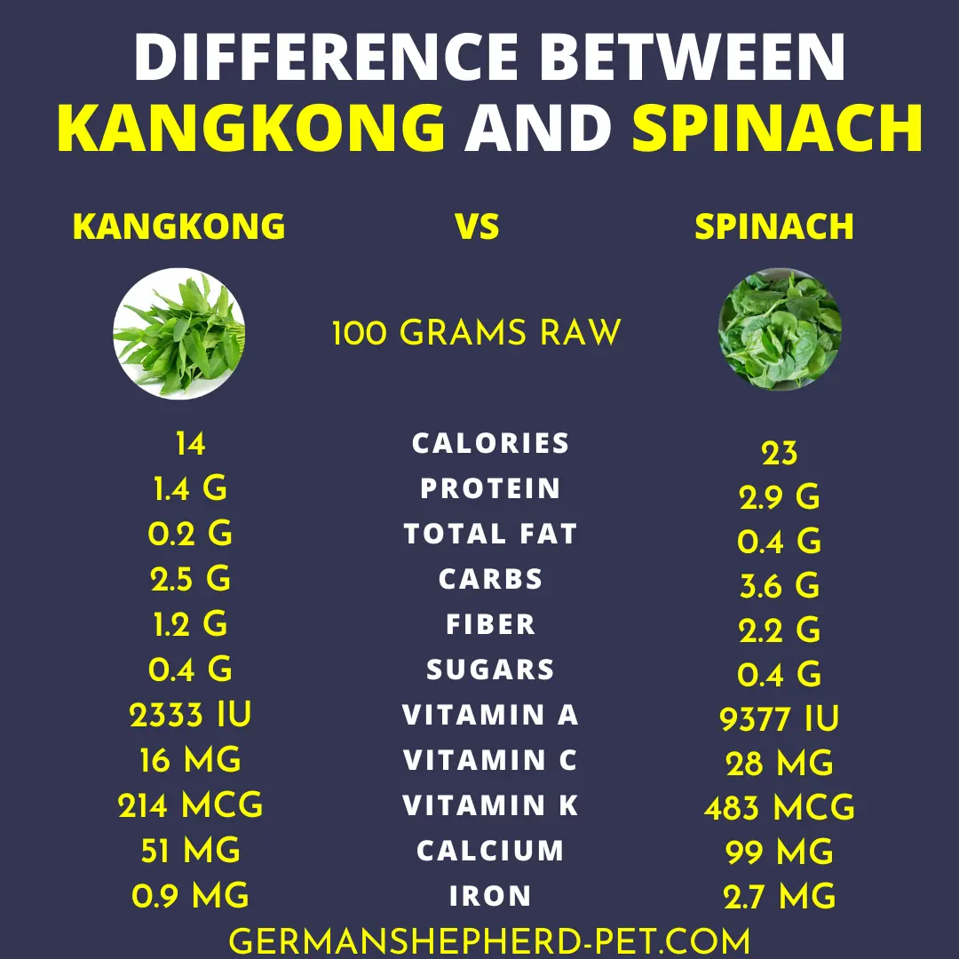 difference between spinach and kangkong