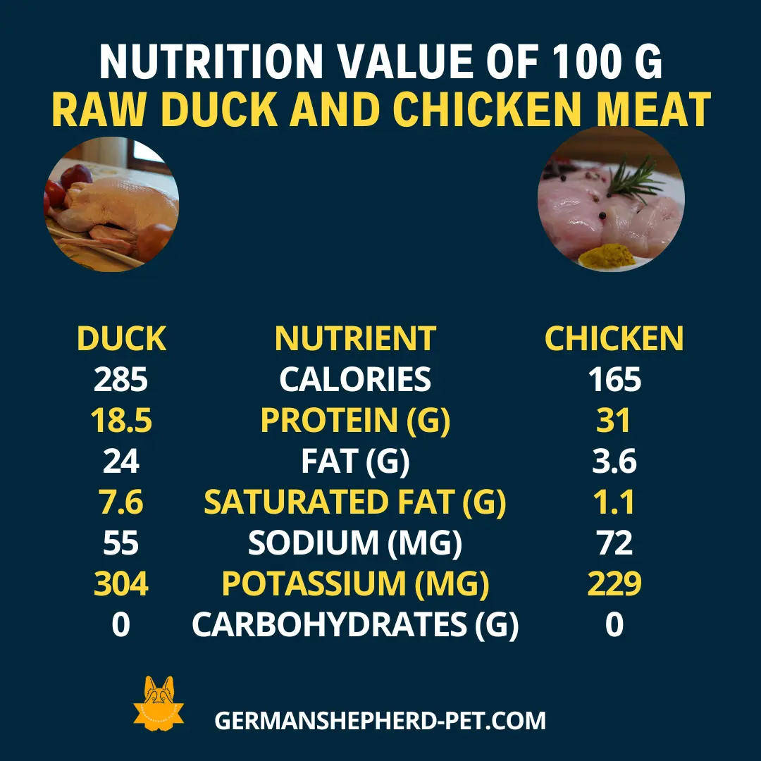 Nutritional-value-of-100-grams-raw-duck meat-and-100-grams-raw-chicken-meat