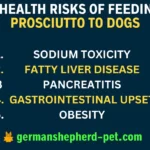 health-risks-of-feeding-prosciutto-to-your-dog