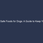 10 Safe Foods for Dogs: A Guide to Keep Your Furry Friend Healthy