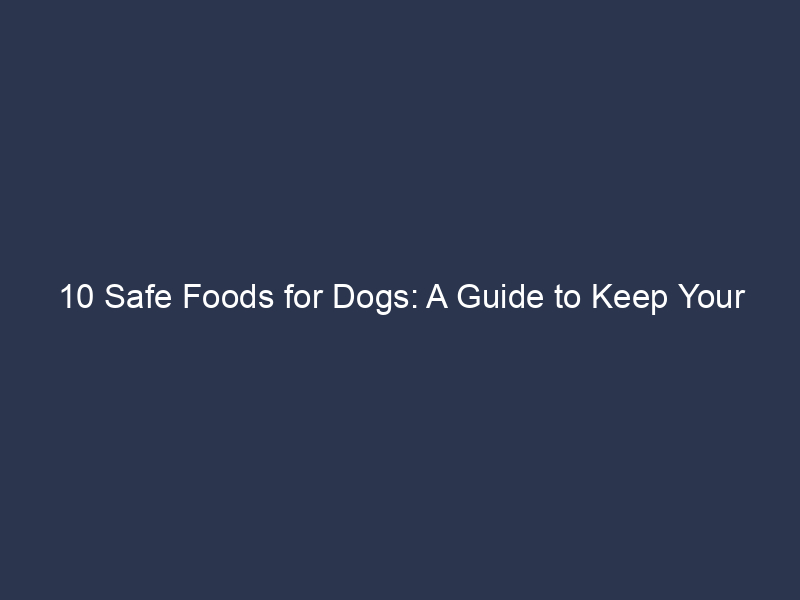 10 Safe Foods for Dogs: A Guide to Keep Your Furry Friend Healthy