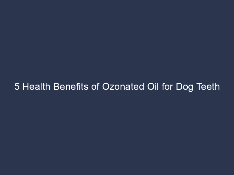 5 Health Benefits of Ozonated Oil for Dog Teeth [2023 Guide]