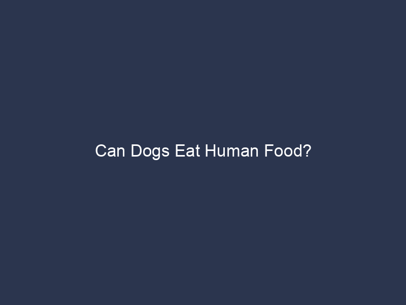 Can Dogs Eat Human Food?
