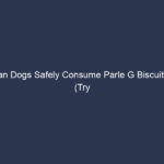 Can Dogs Safely Consume Parle G Biscuits? (Try This Way)