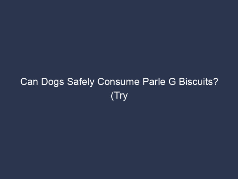 Can Dogs Safely Consume Parle G Biscuits? (Try This Way)