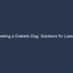 Feeding a Diabetic Dog: Solutions for Loss of Appetite and Vomiting