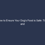 How to Ensure Your Dog's Food is Safe: Tips and Best Practices