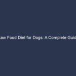 Raw Food Diet for Dogs: A Complete Guide