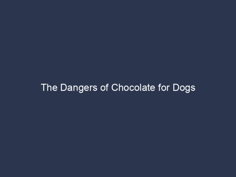 Dangers of Chocolate for Dogs: Symptoms, Treatment and Prevention