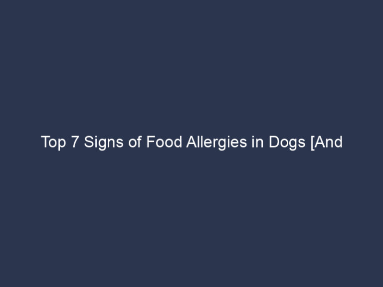 Top 7 Signs Of Food Allergies In Dogs [And Solution]