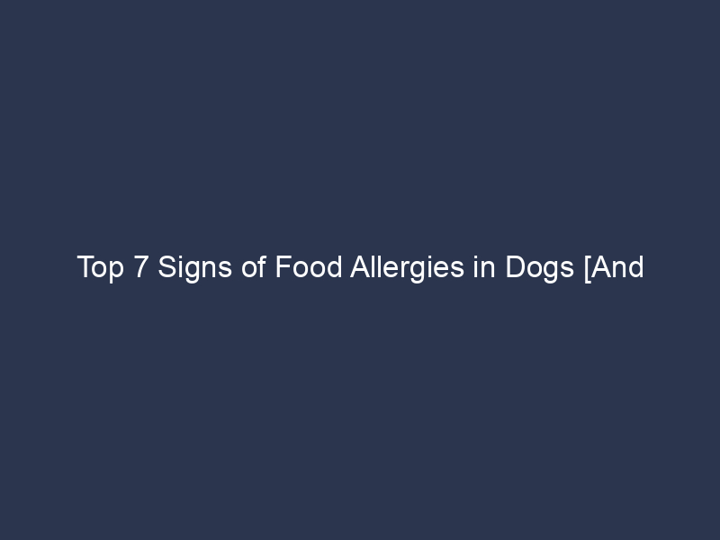 Top 7 Signs of Food Allergies in Dogs [And Solution]