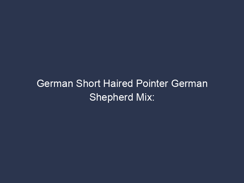German Short Haired Pointer German Shepherd Mix: A Complete Guide