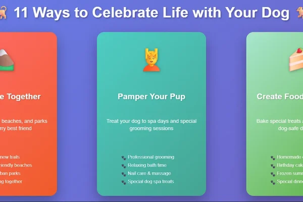 11 Ways to Celebrate Life with Your Dog ways to celebrate life with dog