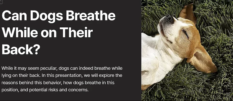 Can dogs breathe while on their back