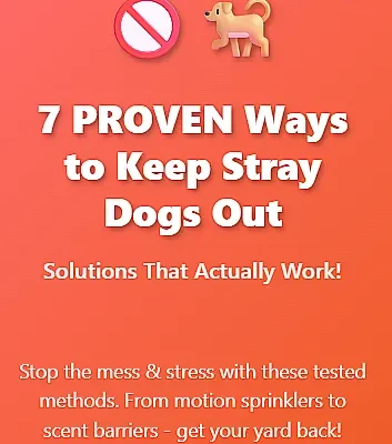 Stray Dog Repellents A Comprehensive Guide for Pet Owners in India