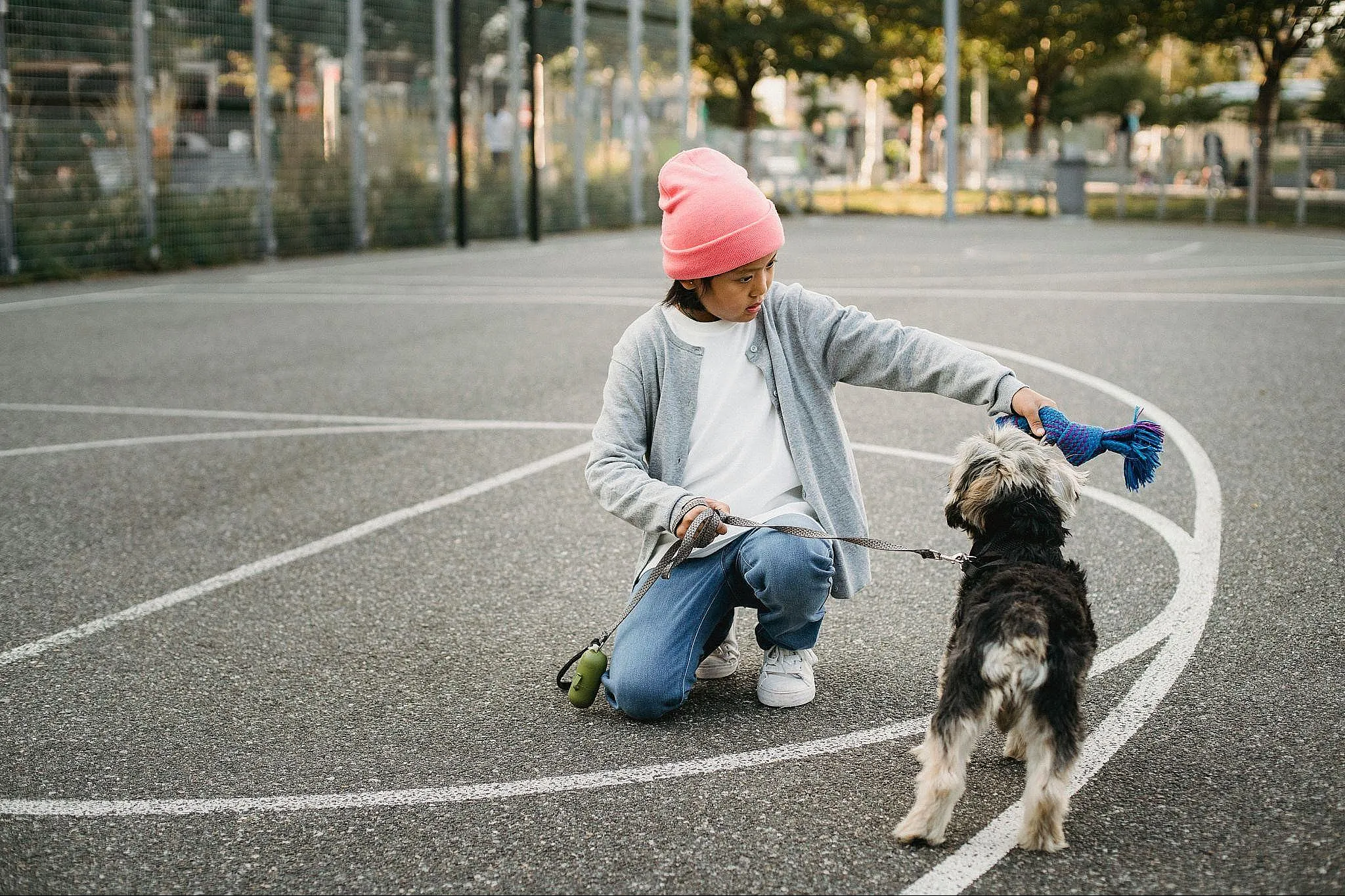 BASIC COMMANDS FOR DOGS