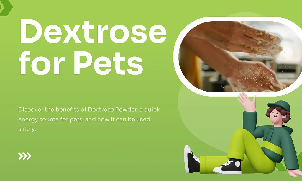 Dextrose for Pets: Discover the benefits of Dextrose Powder, a quick energy source for pets, and how it can be used safely. Image features hands preparing a mixture with dextrose powder, accompanied by an illustration of a cheerful person in casual attire waving