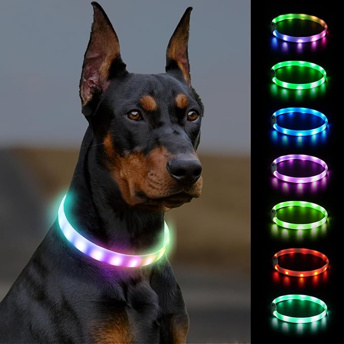 Joytale Light Up Dog Collar