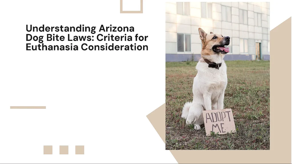 Arizona Dog Bite Laws: When Is Euthanasia Required?