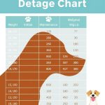 Meloxicam for Dogs Dosage Chart: How Much Is Safe? (Vet-Approved Guide)