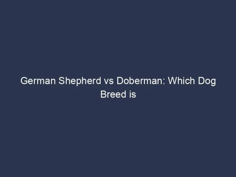 🐾 Ultimate Battle: German Shepherd 🆚 Doberman! Which Pooch Will Steal Your Heart? 🐕💖