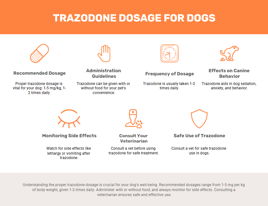 Meloxicam For Dogs Dosage Chart How Much Is Safe? (VetApproved Guide